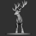 Elk (Hươu Nai) - Thumbnail 3