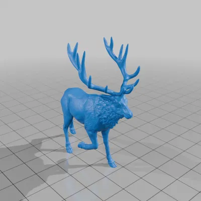 Elk 2