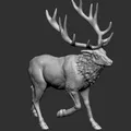 Elk 2 - Thumbnail 3