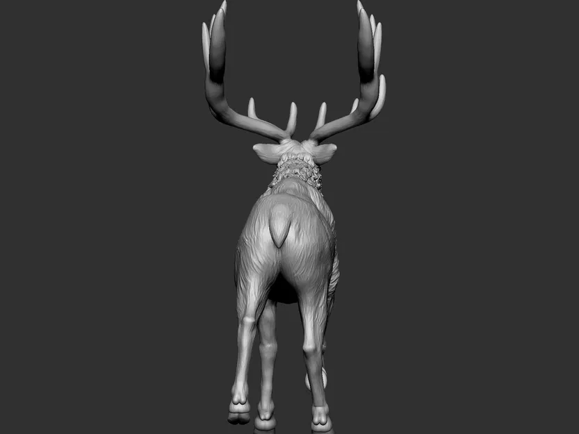 Elk 2 - Image 4