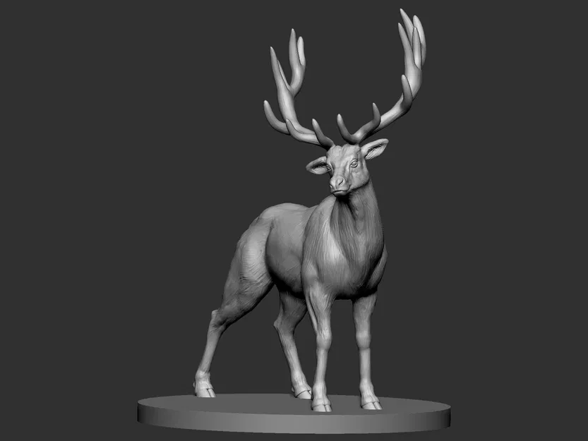 Elk (Hươu Nai) - Image 6