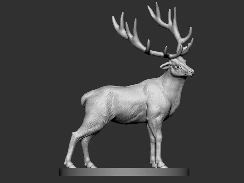 Elk (Hươu Nai) - Image 7