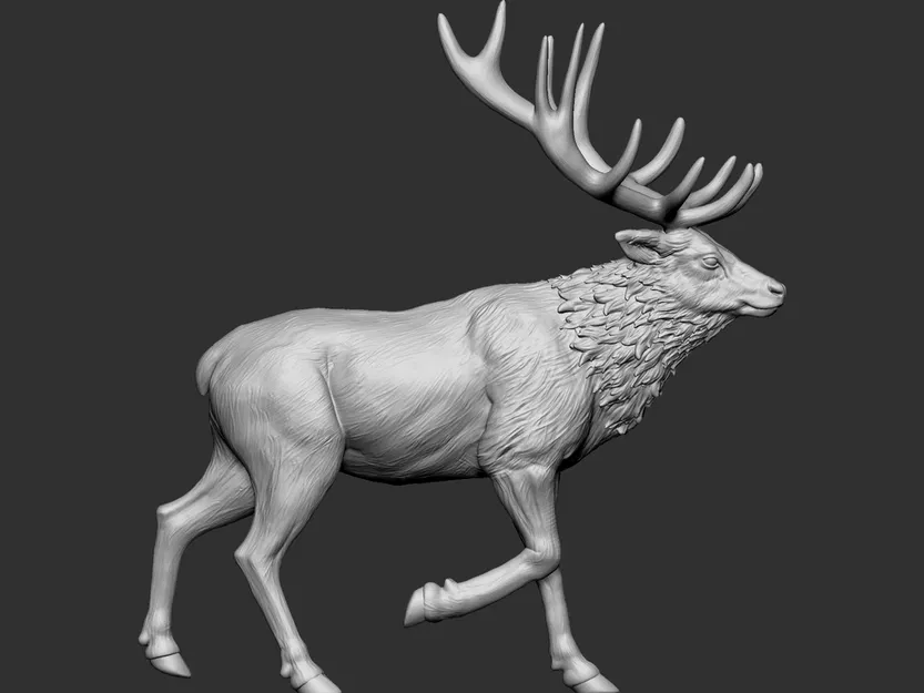 Elk 2 - Image 6