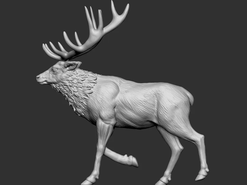 Elk 2 - Image 7