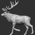 Elk 2 - Thumbnail 7