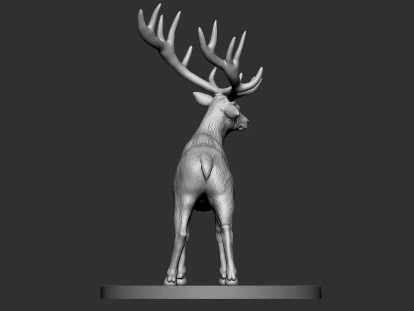 Elk (Hươu Nai) - Image 9