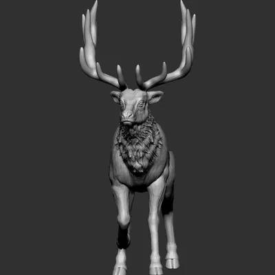 Giá treo đầu nai (Elk mount)