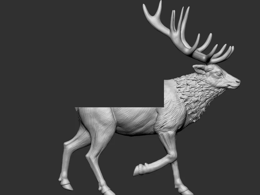 Giá treo đầu nai (Elk mount) - Image 4