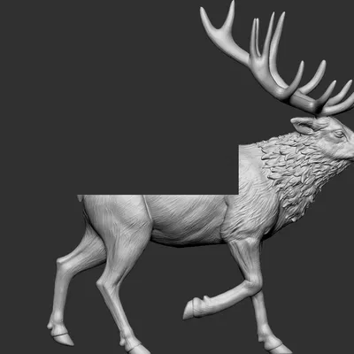 Giá treo đầu nai (Elk mount)