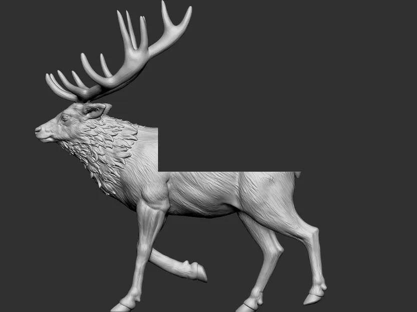 Giá treo đầu nai (Elk mount) - Image 7