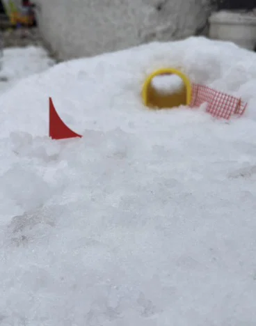 Snowboard Tore - Image 1