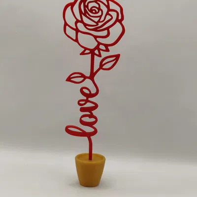 Hoa hồng Valentine + bình hoa