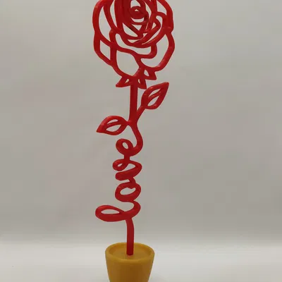 Hoa hồng Valentine + bình hoa