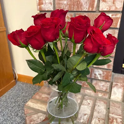 Dụng cụ tách hoa cho bình tròn (Flower Spreader for Round Vase)