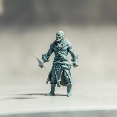 Barbarian Cultist - DnD Tavern