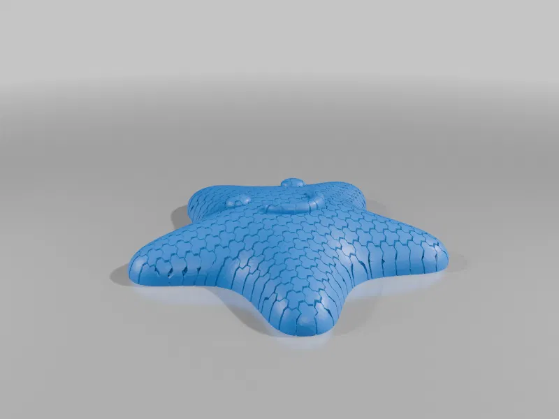 SeaStar Fidget (Fidget Sao Biển) - Image 1