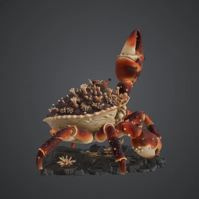 Cua Ẩn Sĩ Đột Biến Khổng Lồ – Quái Vật Đại Dương