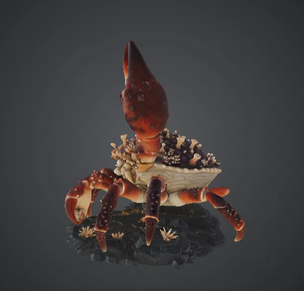 Cua Ẩn Sĩ Đột Biến Khổng Lồ – Quái Vật Đại Dương - Image 3