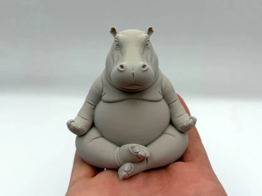 Meditating Hippo – Hà mã thiền - Image 1
