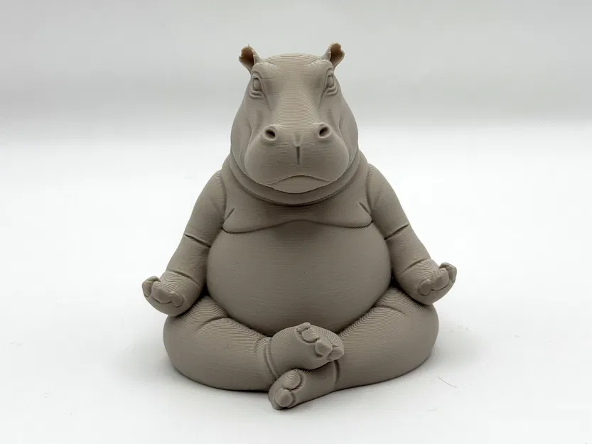 Meditating Hippo – Hà mã thiền - Image 2