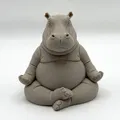 Meditating Hippo – Hà mã thiền - Thumbnail 2