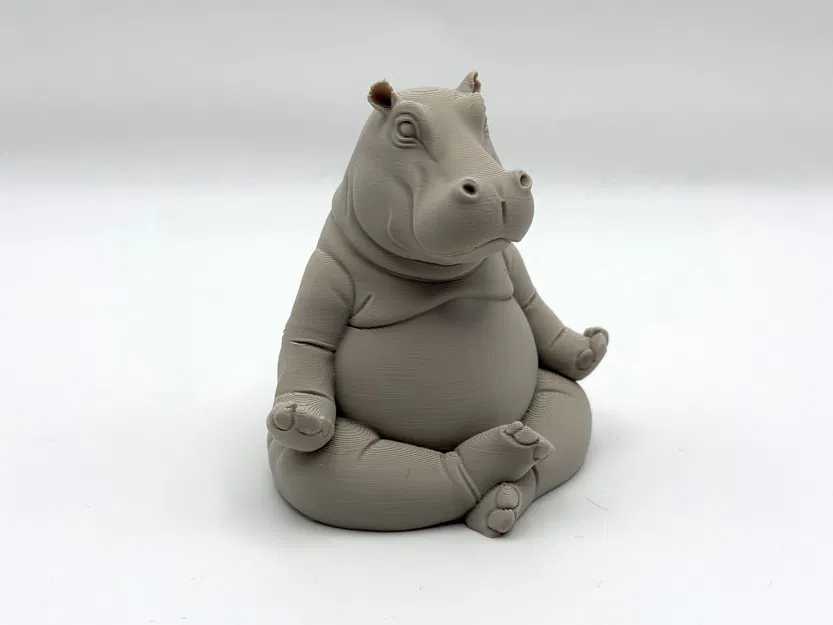 Meditating Hippo – Hà mã thiền - Image 3