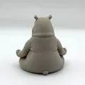 Meditating Hippo – Hà mã thiền - Thumbnail 4