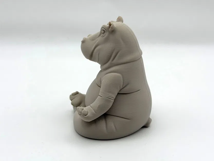Meditating Hippo – Hà mã thiền - Image 5
