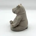 Meditating Hippo – Hà mã thiền - Thumbnail 5