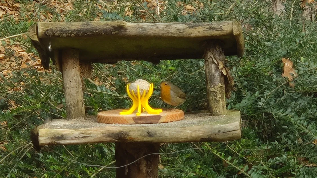 Giá đỡ fat ball cho chim (Bird Fat Ball Holder) - Image 2