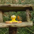 Giá đỡ fat ball cho chim (Bird Fat Ball Holder) - Thumbnail 2