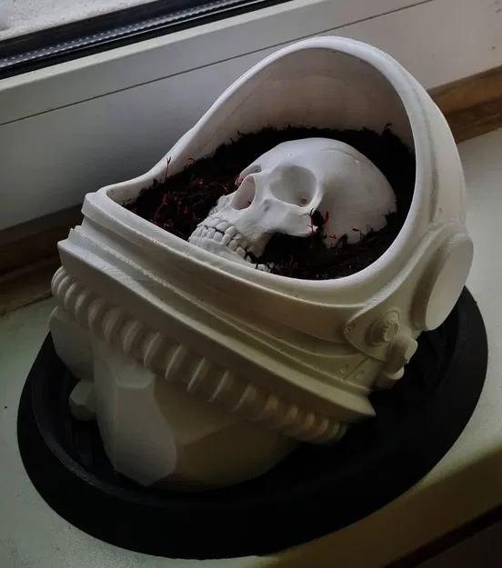 Chậu hoa “Dead Man’s Space Garden” / “Космический сад мертвеца” - Image 1