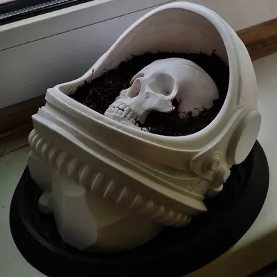 Chậu hoa “Dead Man’s Space Garden” / “Космический сад мертвеца”