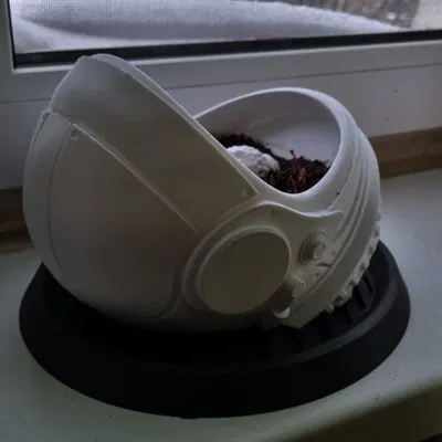 Chậu hoa “Dead Man’s Space Garden” / “Космический сад мертвеца”