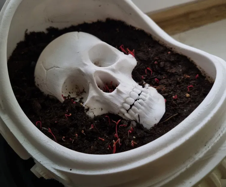 Chậu hoa “Dead Man’s Space Garden” / “Космический сад мертвеца” - Image 3