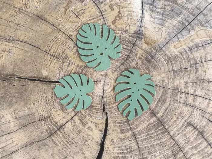 Lá Monstera in 3D (Monstera Leaves) - Image 1