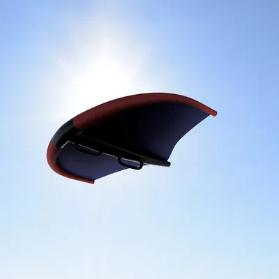 Wingfoil Wing