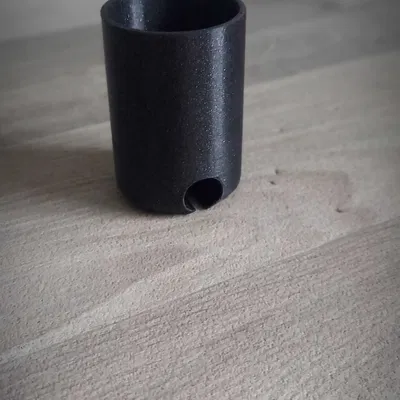 Paste cup cho câu cá chép