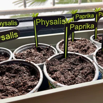 Pflanzenstecker – Cắm nhãn cây có chữ