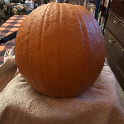 Bộ kê khắc bí ngô – Giữ bí cố định khi bạn đang khắc!