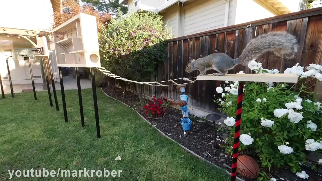 Sợi xích (chain) - Image 1