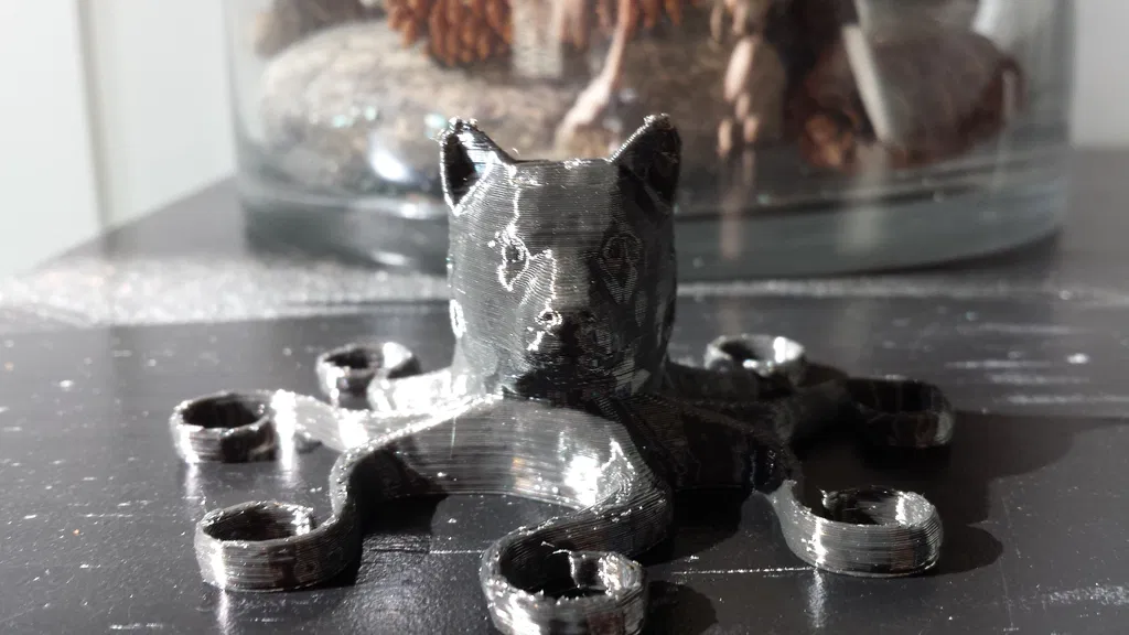 Chó bạch tuộc (Dog octopus) - Image 3