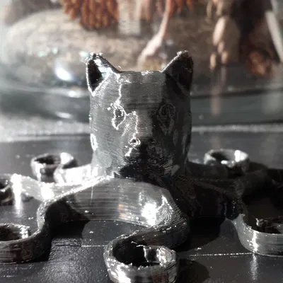 Chó bạch tuộc (Dog octopus)