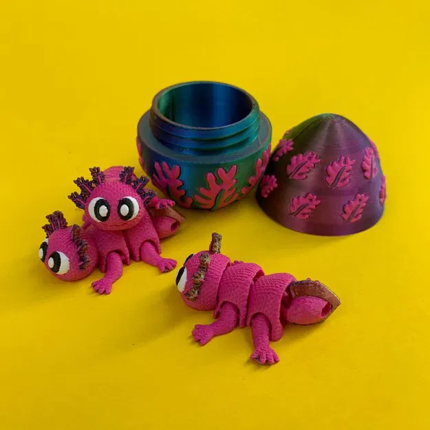 Flexi Axolotl Và Hộp Trứng (Egg Box) - Image 1