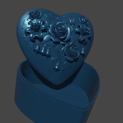 Hộp Trái Tim (Heart Box)