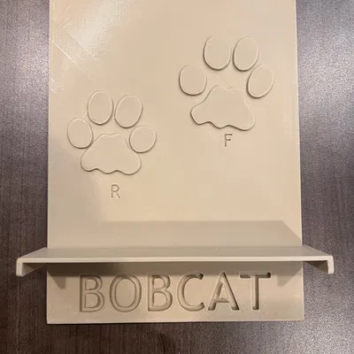 Dụng cụ dạy học dấu chân động vật (Animal Track Teaching Tool)