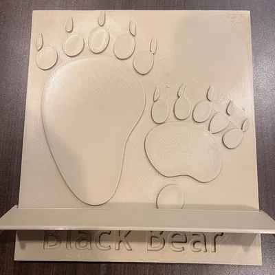 Dụng cụ dạy học dấu chân động vật (Animal Track Teaching Tool)