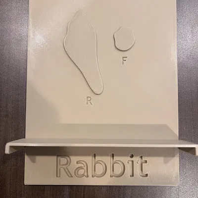 Dụng cụ dạy học dấu chân động vật (Animal Track Teaching Tool)