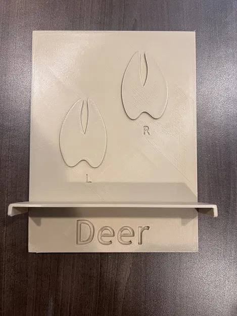 Dụng cụ dạy học dấu chân động vật (Animal Track Teaching Tool) - Image 6