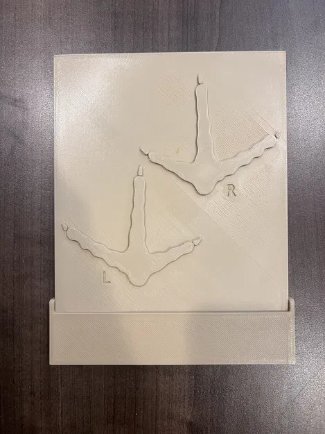 Dụng cụ dạy học dấu chân động vật (Animal Track Teaching Tool) - Image 10